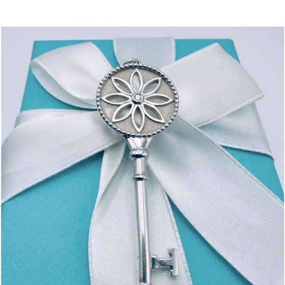 Tiffany & CO. Silver and Dimond Daisy Key Pendant with Beaded Design - Picture 1 of 8